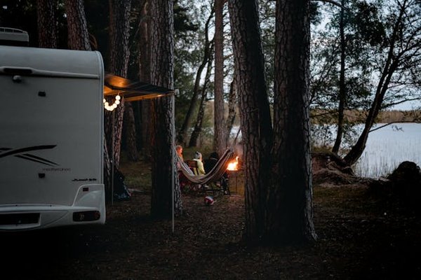Comment choisir le meilleur emplacement pour un camping en forêt boréale?